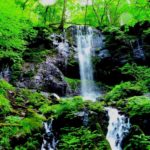 栃木県スッカン沢の素連の滝