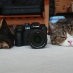 いろんなカメラ機能で猫を撮る