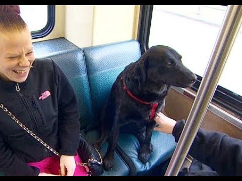 俺は人気者だぞ！