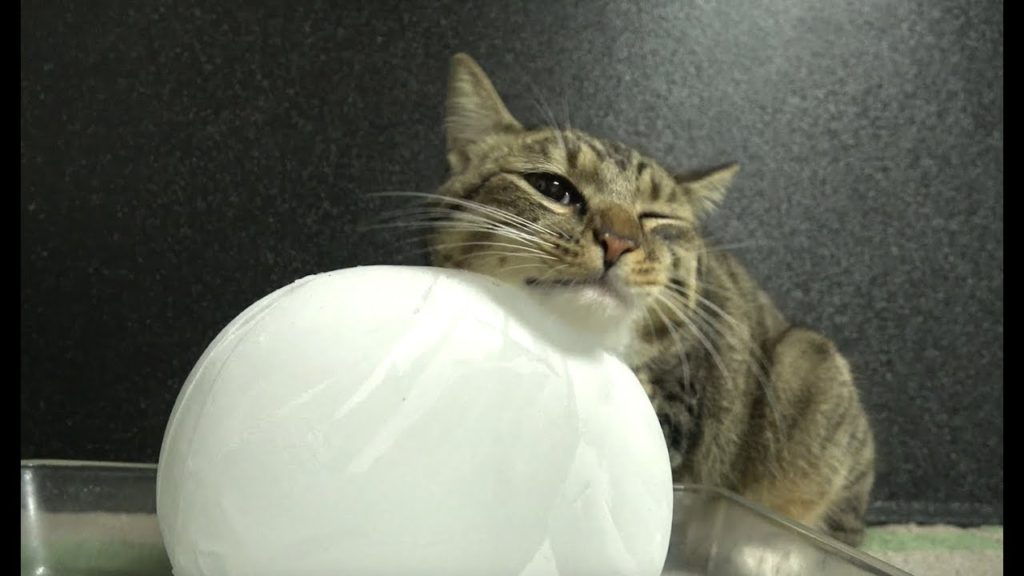 な、なんて気持ちいんだ！！