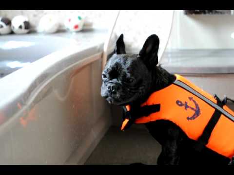 これは海猿の名シーン！？