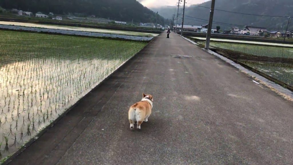 あなたと私の絆