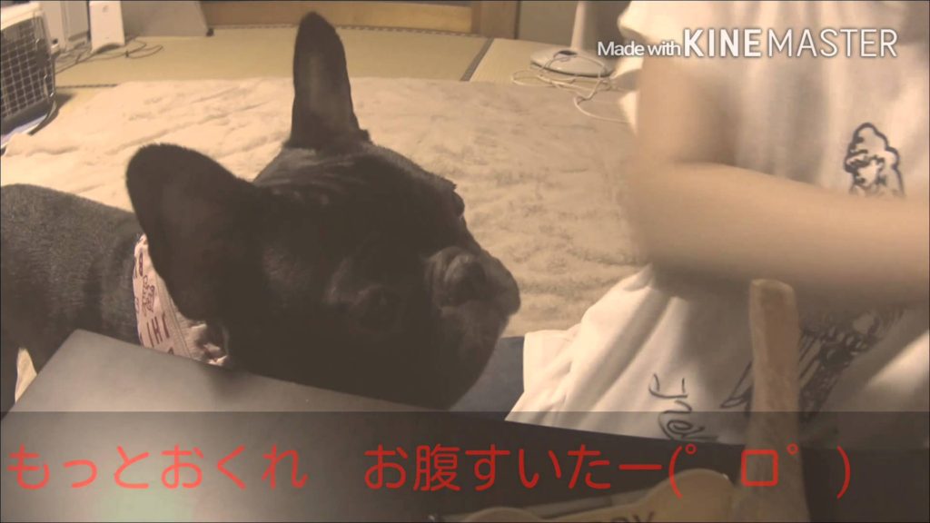 誕生日ケーキ♪･･･早く早く！