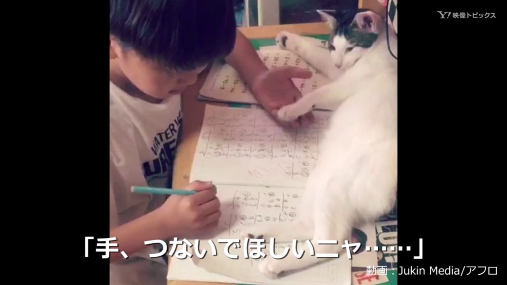 少年の優しさ(●´∀｀)