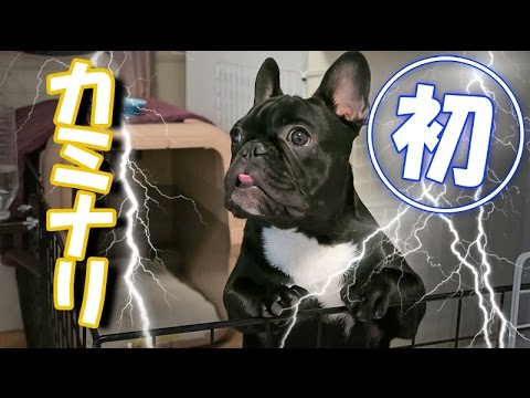 初めての雷音！！