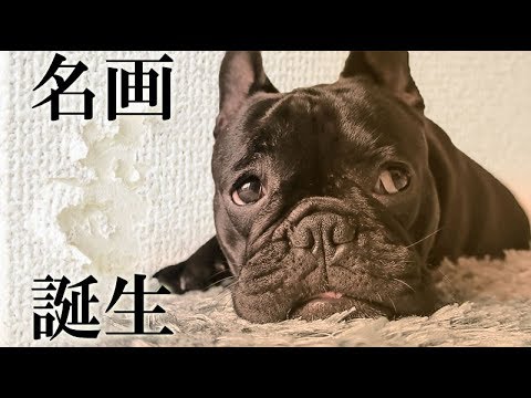 いたずらは、私のポリシーなのです。