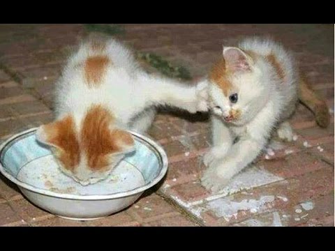 食事中はたたかい？