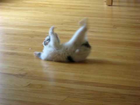 もどかしかゆい？