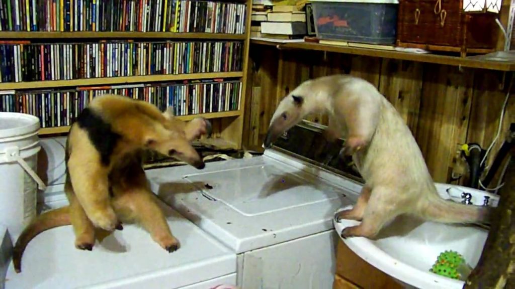 すれちがい・・・