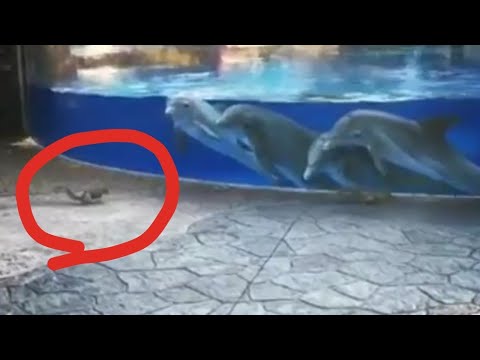 水槽がジャマ！