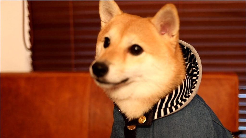 この服って・・