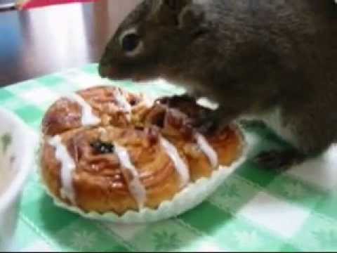 口に合わんか？