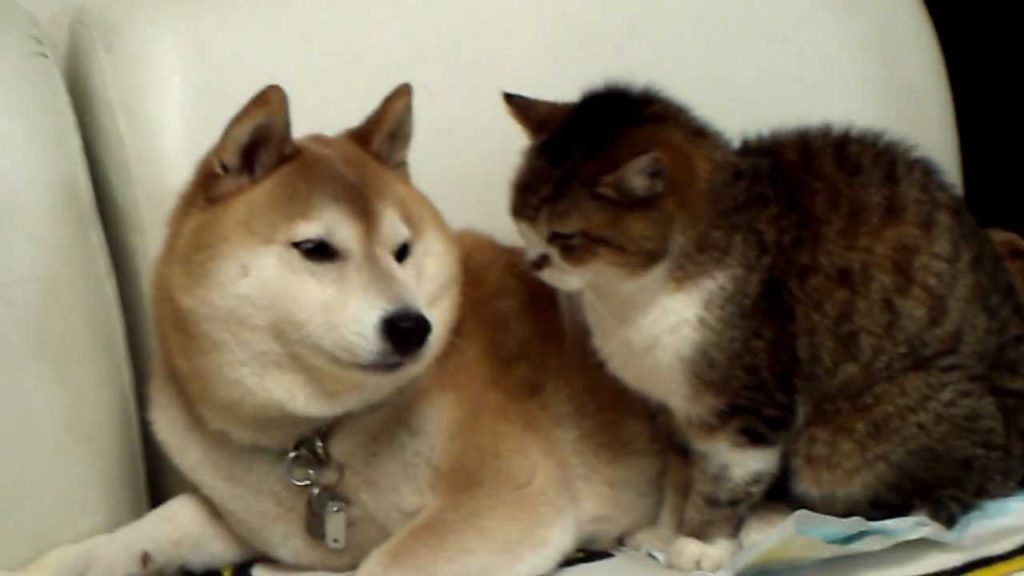 まったり気まずい