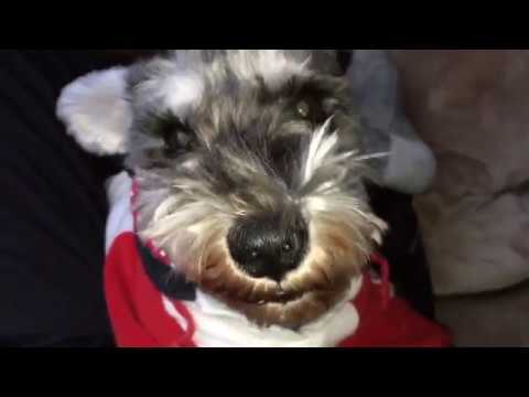 ルンルンルン♪