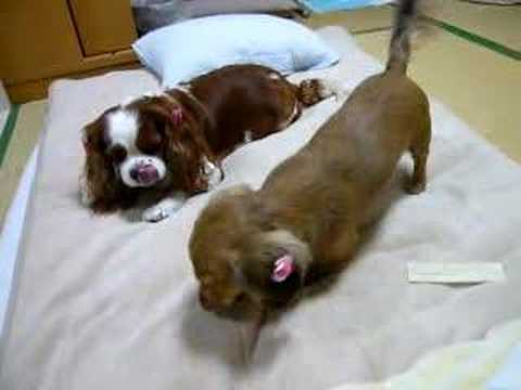 親しき中にも礼儀なし？