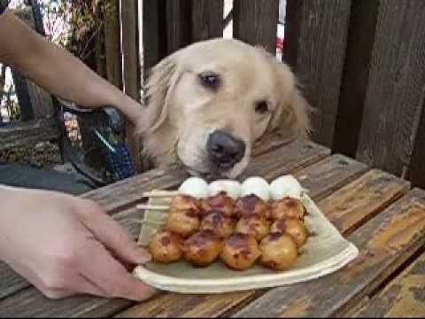 一本食べたからいいでしょ！