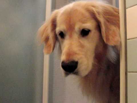 ブクブク泡が怖い？