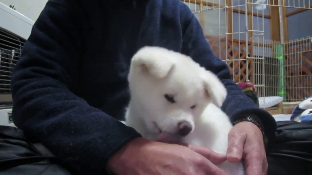 惰眠タイムは自分で勝ち取れ