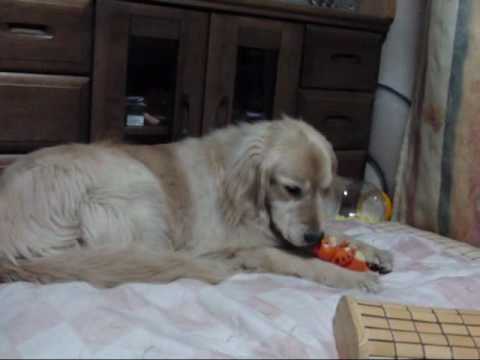 ガラスの向こうのアイツ気になる