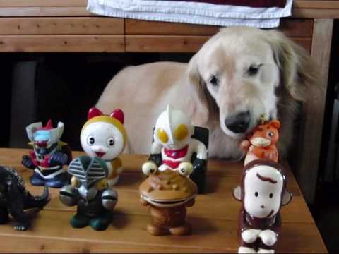 やっぱりこいつが一番いい