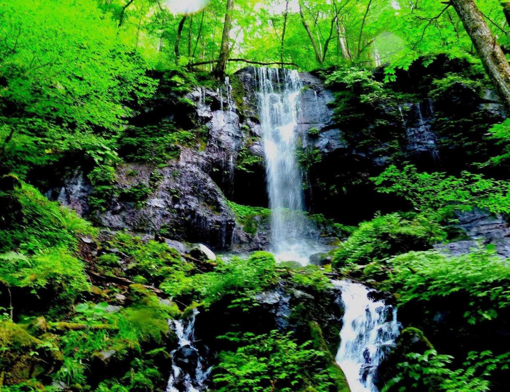 栃木県スッカン沢の素連の滝