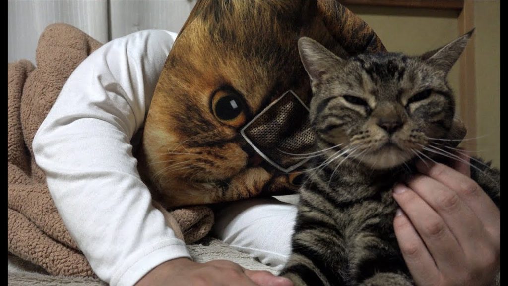 添い寝するむさし